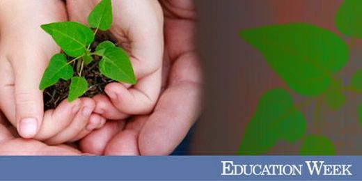 Children Need More Choices in Kindergarten, NAEYC Expert Says