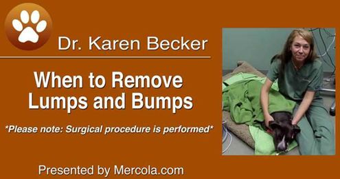 When to Remove Lumps and Bumps of Your Pet