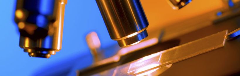 Does the Creation Model Make Predictions?  Absolutely!