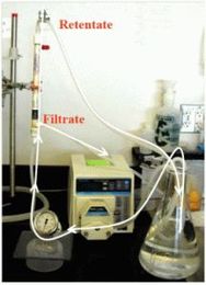 Masterflex and Tangential Flow Filtration: Easier, Faster, and More Efficient