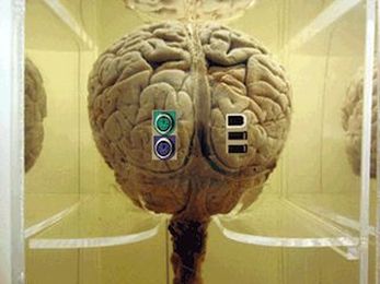 The Evolution of Artificial Intelligence in Search: An SEO Opportunity