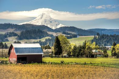 Spring Food and Farm Workshops for Chefs and Gardeners