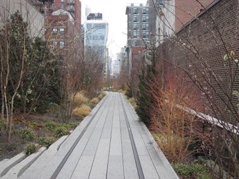 High Lines and Park Life: Why More Green isn't Always Greener for Cities