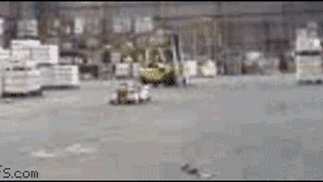 Bro, do you even forklift?