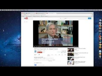 Baby Brains: A webinar about early childhood brain development