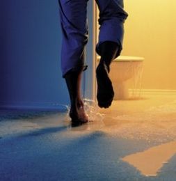 Water Damage Restoration, Water Damage / Angelo's Carpet Cleaning