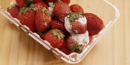 10 Facts About Food Regulation The Government Hopes You Won't Notice