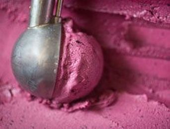 Self-lubricating Bearings in Frozen Food Processing