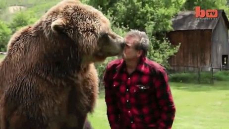 Fearless man plays with grizzly bears like you play with your dog