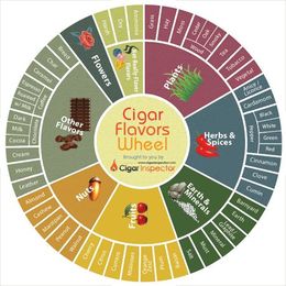 Introducing the Cigar Flavors Wheel