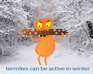 Are Termites Active During the Winter?