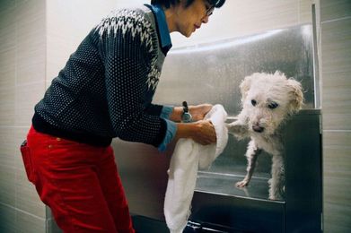 Dog-friendly perks cater to renters