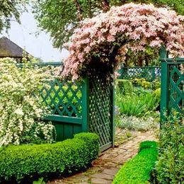 8 Essential Elements for Planning a Cottage Garden