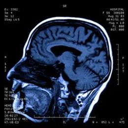 Could understanding how the brain processes music help treat illness?