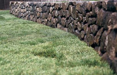 How to Sod a New Lawn