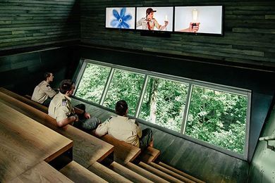 Sustainability Drives Boys up a Tree