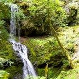 Want to Look Younger? Try Acupuncture