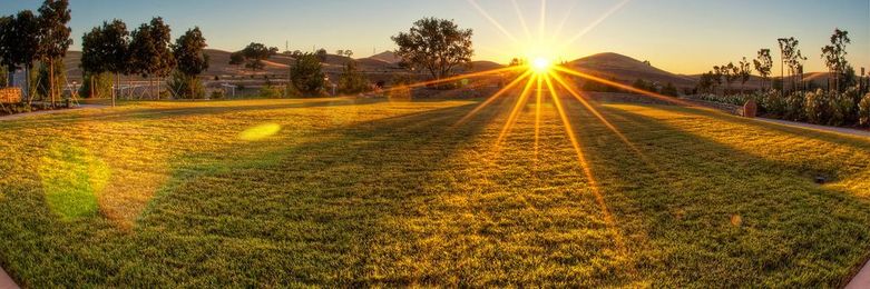 Health and Wellness Made Simple at The Vineyards