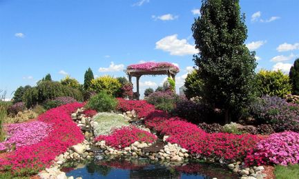 Eco-Friendly Gardening Solutions for Spring