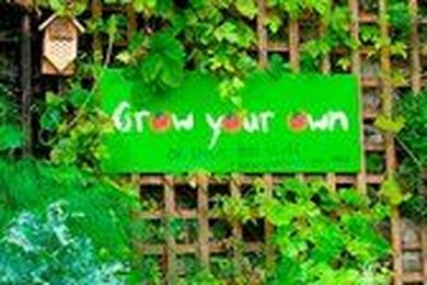 Free Veggies for All! Should We Follow the British Example?