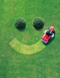 Lawn Planting 101