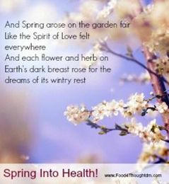 Superfoods & Smoothies for Super Health!