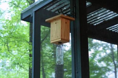 Make a Homemade Carpenter Bee Trap