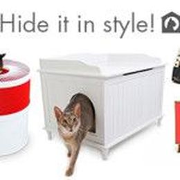 Stylish Ways to Hide the Litter Box