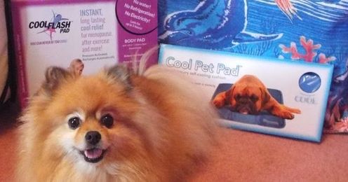 The Green Pet Shop Cool Pet Pad