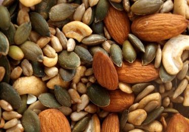 Nuts, Seeds and Berries: Not Just for Bears