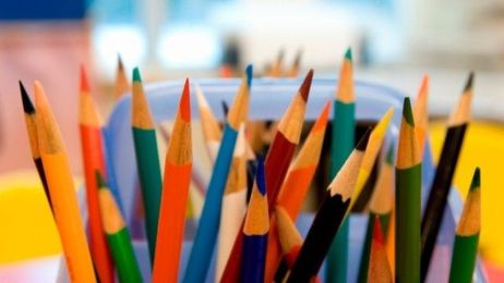 One Size Does Not Fit All: The Need for Variety in Learning