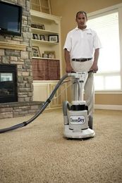 Should You Clean Your Carpet or Replace It?