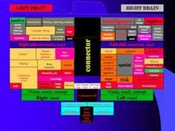 EMDR Therapy: How Does It Work?