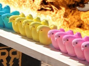 How many Peeps can a 50 cal go through?