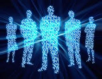 Do You Have A High Functioning Information Technology Organization?