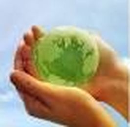 Going Green with Frames USA & Art Gallery!