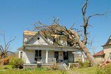 Tips to Save Your Storm-Damaged Trees