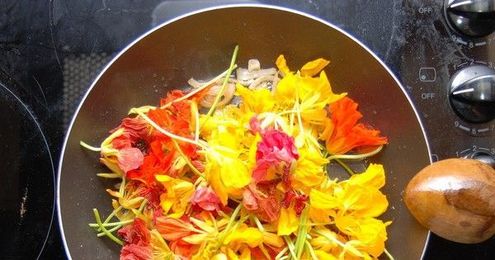 42 flowers you can eat
