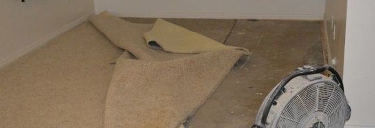 Before You Place That Homeowners Insurance Claim...