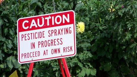 Lawn Care Chemicals Can Pose Threat to Children