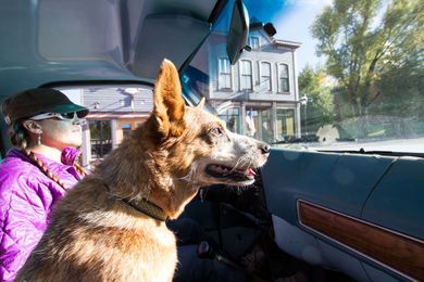 Pet-friendly lodging and dog delights in Breckenridge