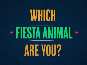 Which fiesta animal are you?