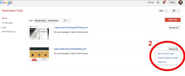 How To Give Access to a Google Webmaster Tools Account