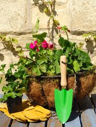 10 Things You Should Know About Containers (But Probably Don't)