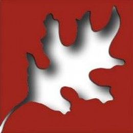 How can landscaping the exterior of my home increase property value?