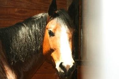 Beautiful Horse Farm Awaits You and Your Family