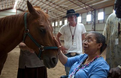 Caring for Horses May Help Ease Symptoms in Alzheimer's Patients