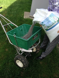 Looking At Organic Lawn Fertilizer: What's In It?