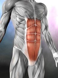 Core Strength Fiction and Facts