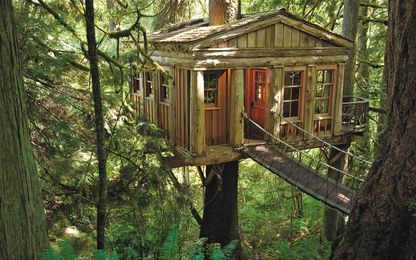 Treehouse Masters' Pete Nelson: 5 Things Every Beginning Builder Must Know